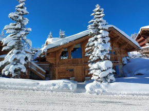 Chalet familial authentique avec spa, jacuzzi et hammam - Courchevel 1850 - FR-1-613A-26